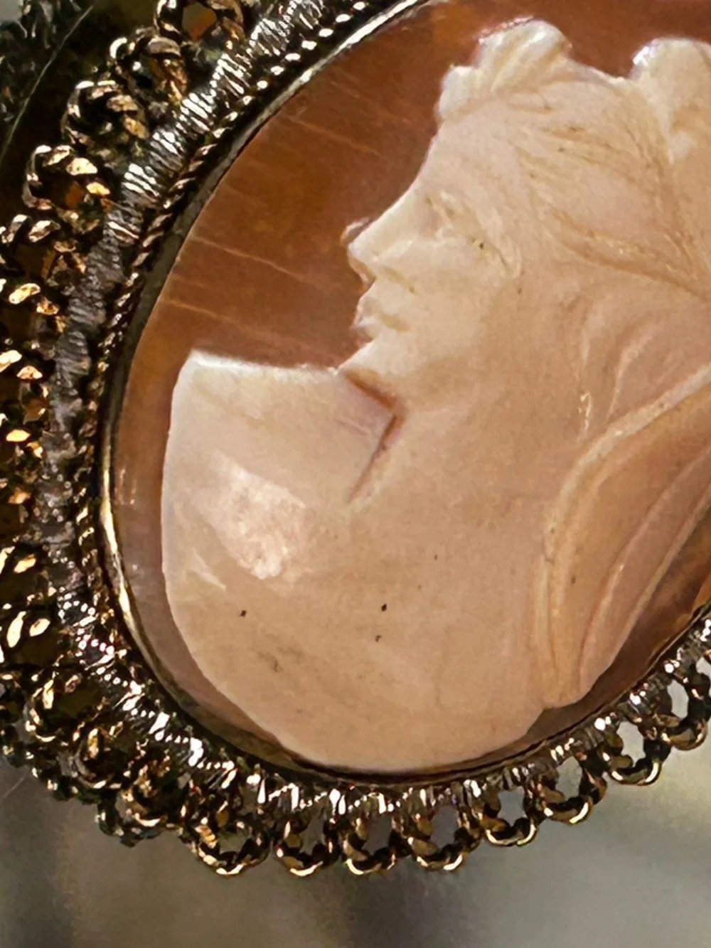 Vintage Cameo Brooch or Pendant with Gold Filled Accents